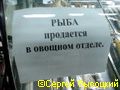 Рыба - это фрукт или овощ?