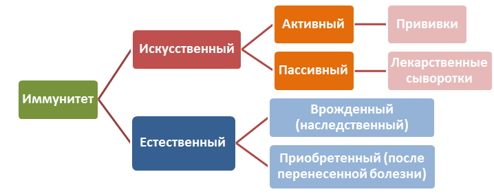 Иммунитет - активный, пассивный, искусственный, врожденный
