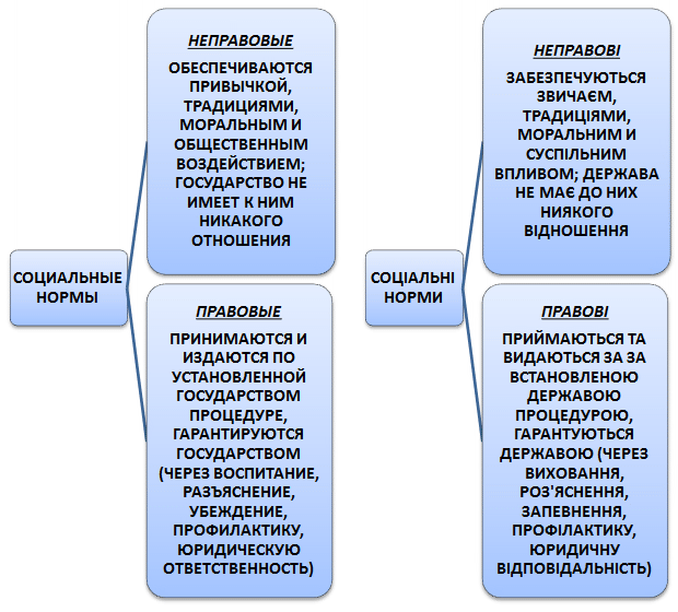 Структура социальных норм